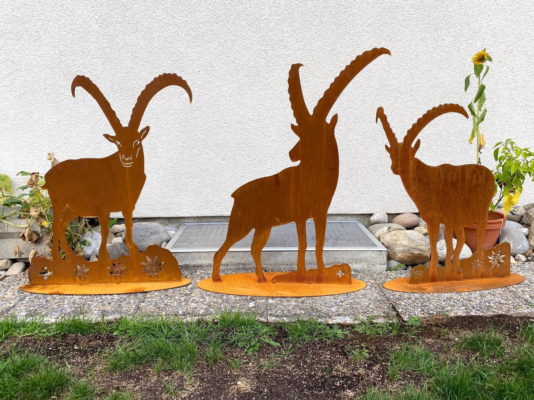 Statuette: Edelrost Steinbock, Steinbock aus Metall, Rostdeko, Deko – Nuovo (secondo la descrizione) da Honau venduto da Freude1234 4