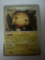 Raichu Pokémon 