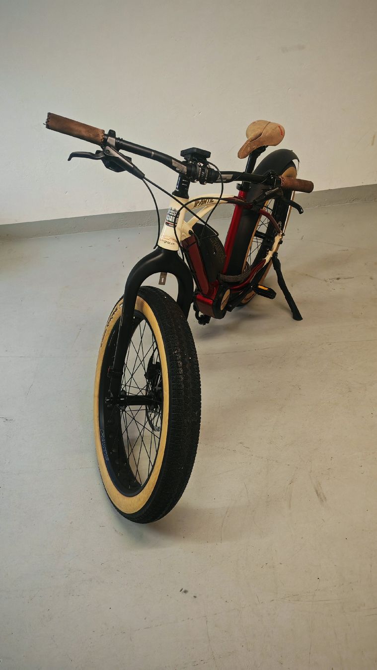 Fantic Biciclette: Fantic E-Fatbike Seven Days – Usato da Olten venduto da Dragon-Bonsai 4