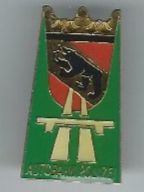Autobahn Polizei Bern, Pin