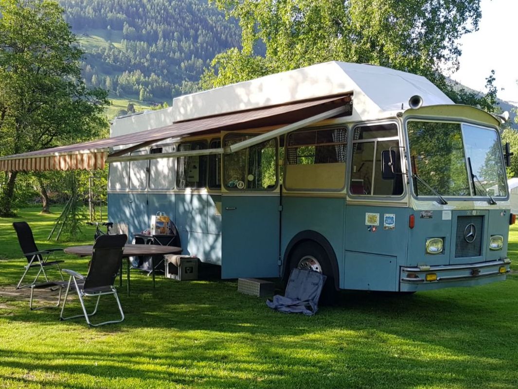 Mercedes Bus Oldtimer Camper - Traum für Vintage Camper Fans (Gebraucht ...