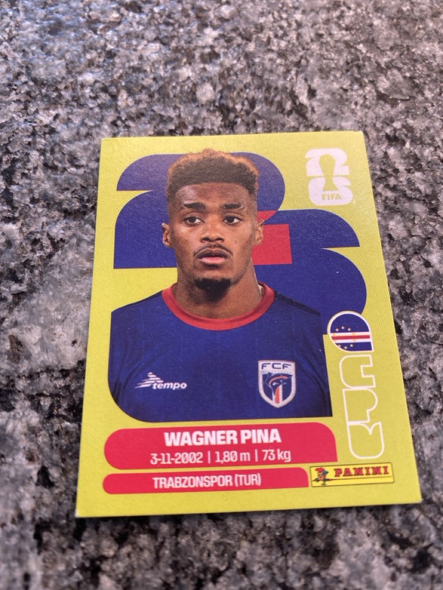 Panini Carte collezionabili: Panini CPV7 – Usato da schafisheim venduto da soni13
