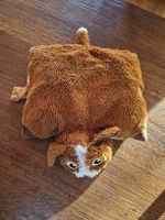 Hundespielzeug Plüschtier Hund