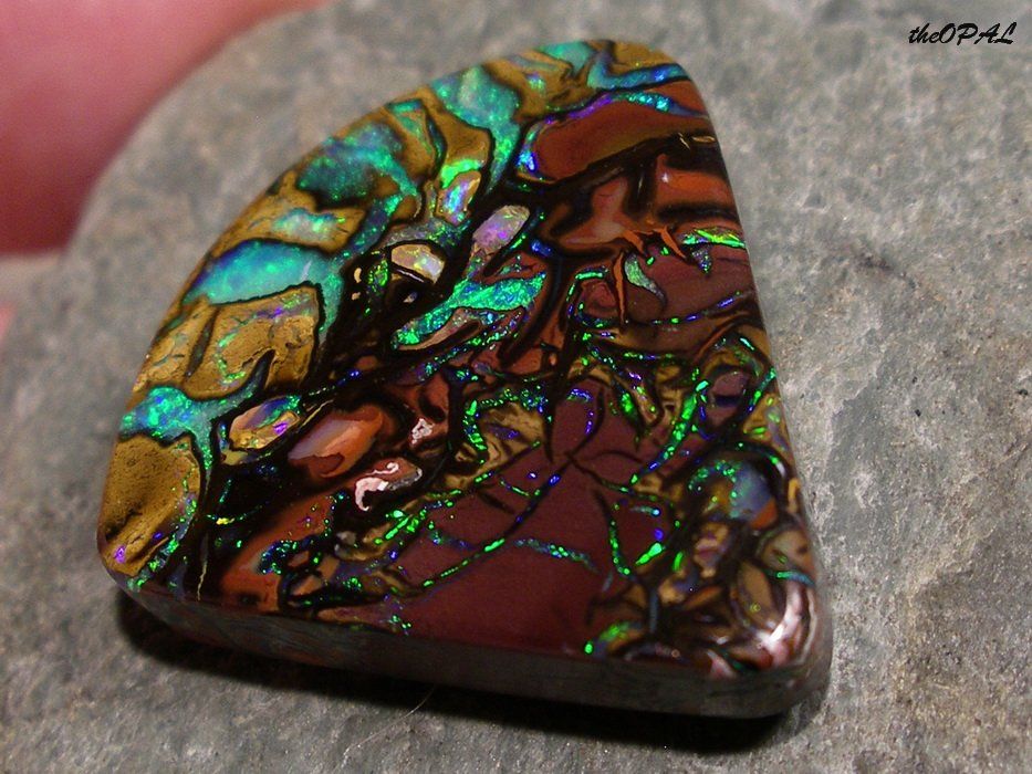 Pietre preziose: theOPAL *** TOP KOROIT MATRIX OPAL 44,03ct *** – Nuovo e nell'imballaggio originale da Ebnat-Kappel venduto da theOPAL 3