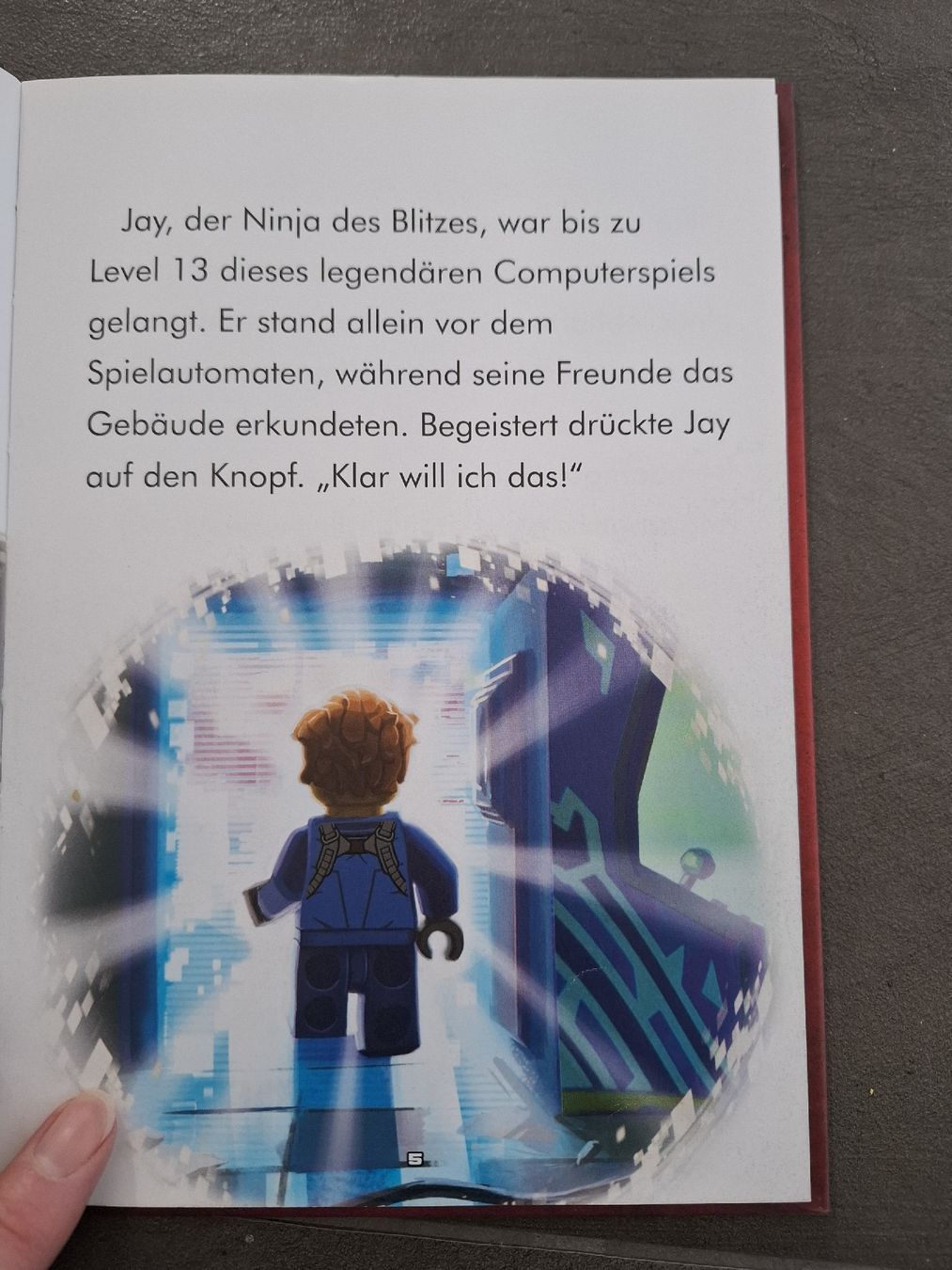 Libri: Ninjago Bücher 2 Stück – Usato da Nänikon venduto da Graceful 2