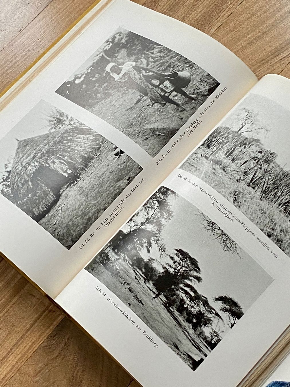 Libri: DER KILIMANJARO Dr. W. Seilinger – Usato da Zürich venduto da Camerountiger 4