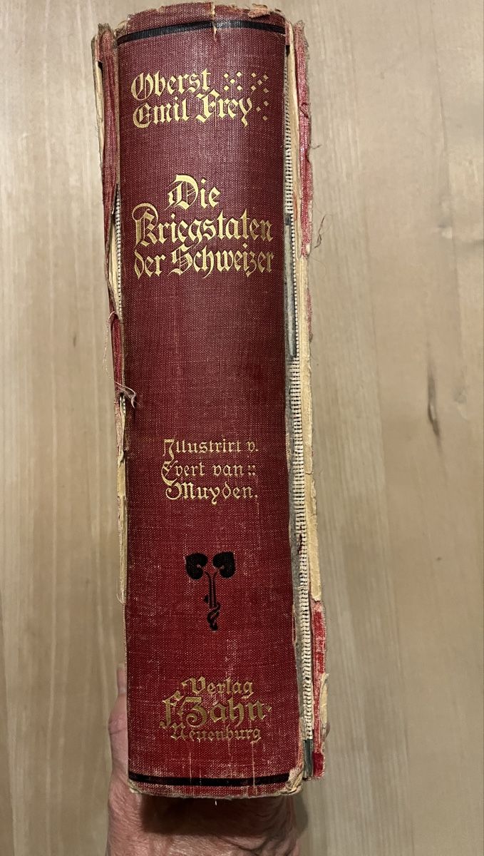 Libri: Oberst Emil Frey - Kriegstaten der Schweizer, 1904! – Usato da St. Gallen venduto da reg_f8h8 1