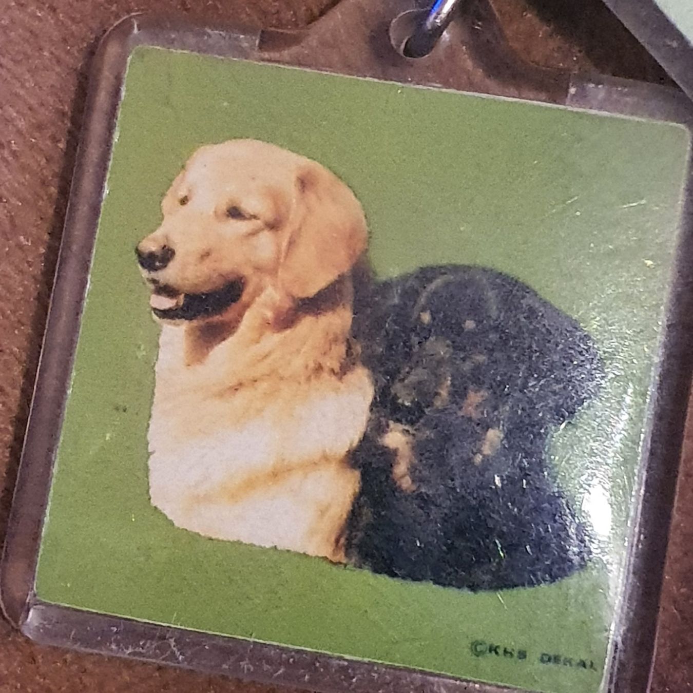 Portachiavi: Porte-clés chien avec adresse 4x4 cm – Nuovo (secondo la descrizione) da DUGNY (-Leytron) venduto da Rdeny