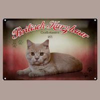 🔥 BRITISCH KURZHAAR Katzen Blechschild ❤️ 20x30cm OVP 🔥