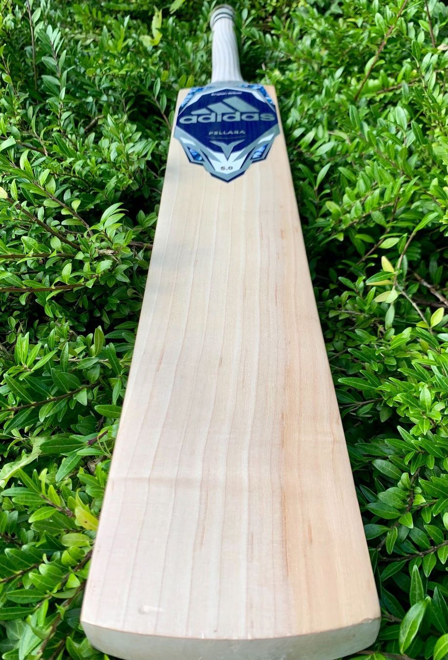 Altri accessori: Adidas Pellara 5.0 English Willow Bat SH – Nuovo e nell'imballaggio originale da Luzern venduto da ronymamuni