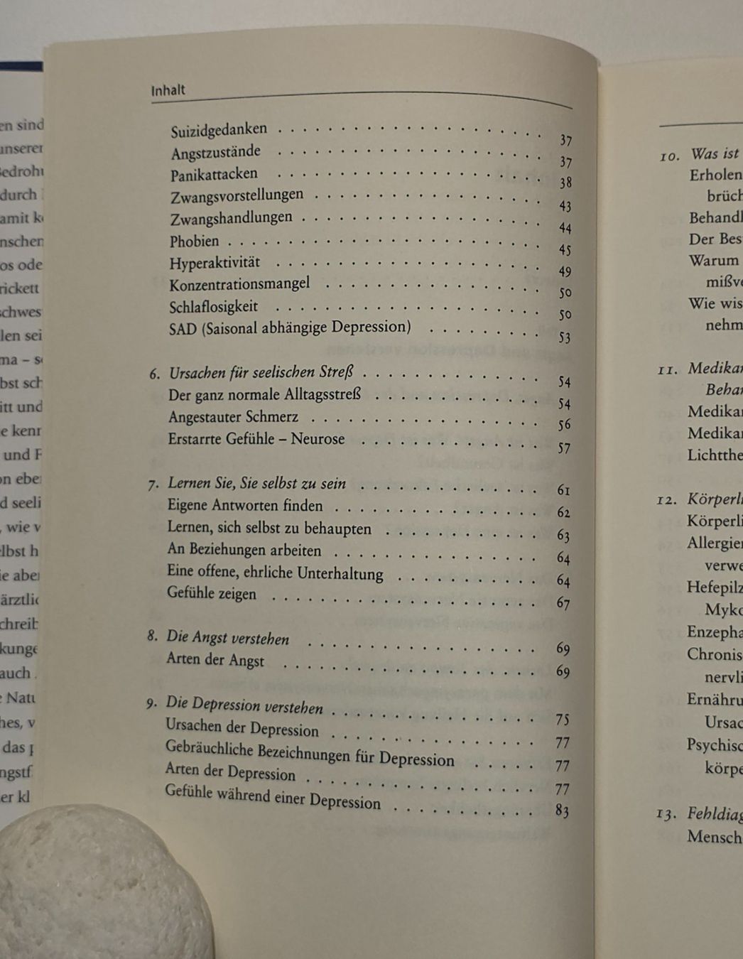 Libri: WIEDER ANGSTFREI LEBEN Selbsthilfe Panikattacken Depression – Nuovo (secondo la descrizione) da Dürnten venduto da Bachtelrider_ 6