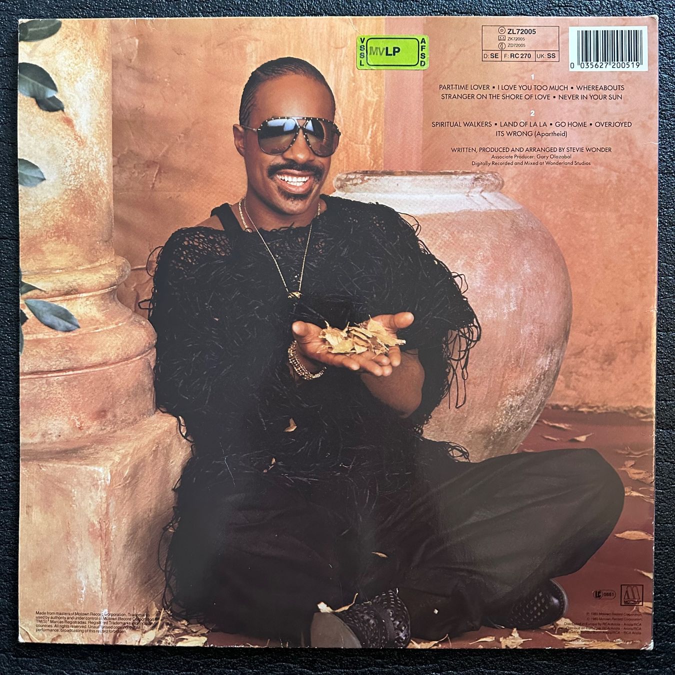 Dischi in vinile: LP - Stevie Wonder - In Square Circle – Usato da Breganzona venduto da Onairda75 1