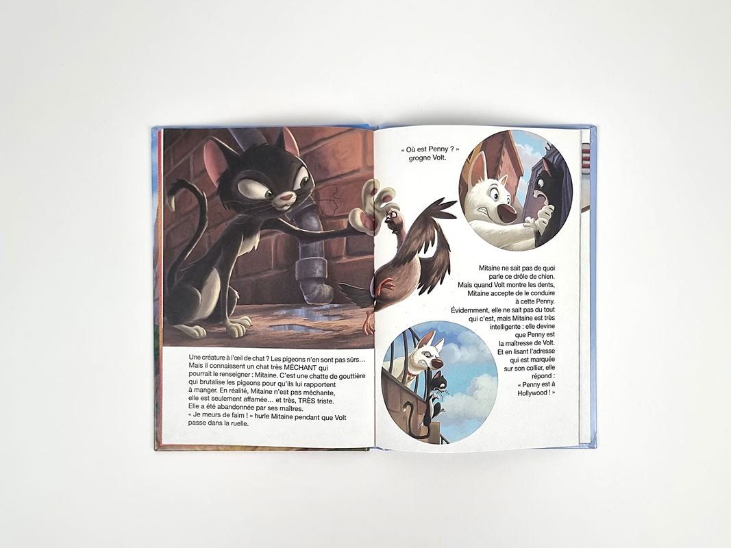 Libri: Kinderbuch "Volt" Französisch – Usato da Urtenen-Schönbühl venduto da Restwert_Schoenbuehl 5