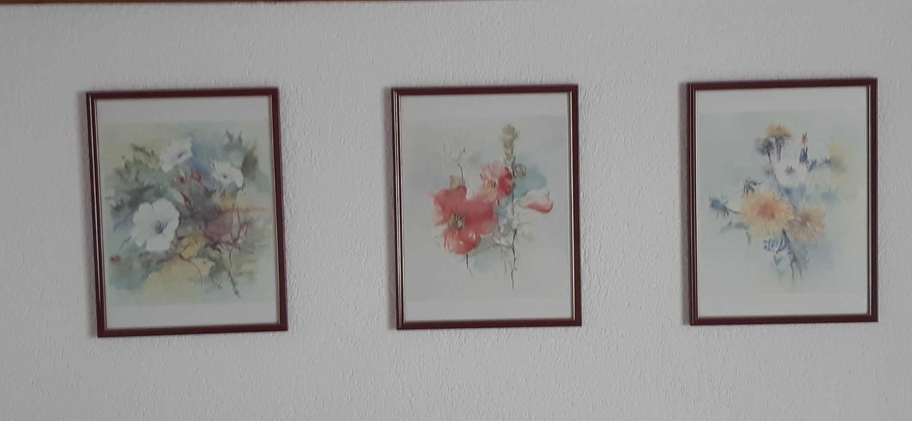 Foto & Immagini: Blumen Bilder 8 Stück – Usato da Uitikon Waldegg venduto da Tibi07