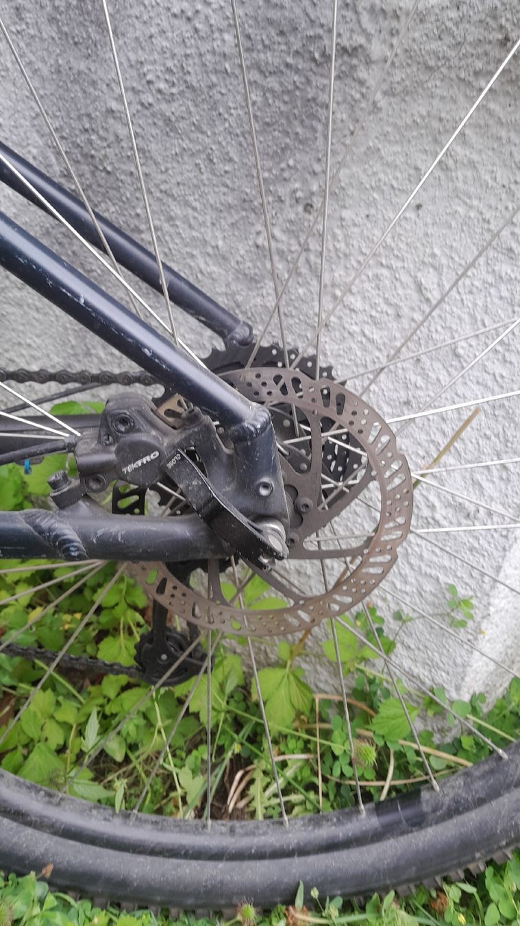 Specialized Biciclette: Specialized Rockhopper Sport (Hardtail 29'', Rahmengrösse M) – Usato da Zürich venduto da  3