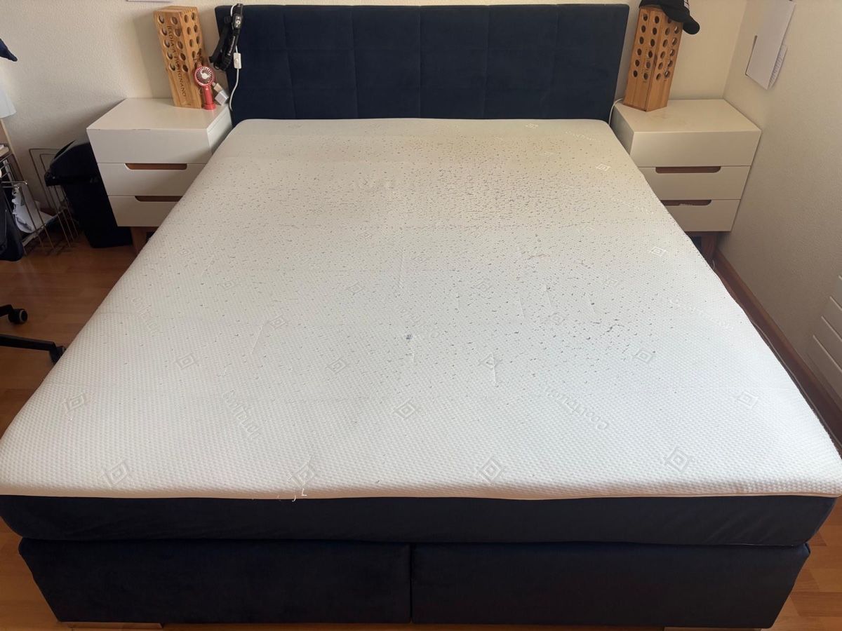 Letti: Boxspringbett – Usato da Rheinfelden venduto da ben_8trp