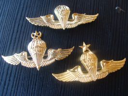 Badge de l'armée thailandaise, métalliques