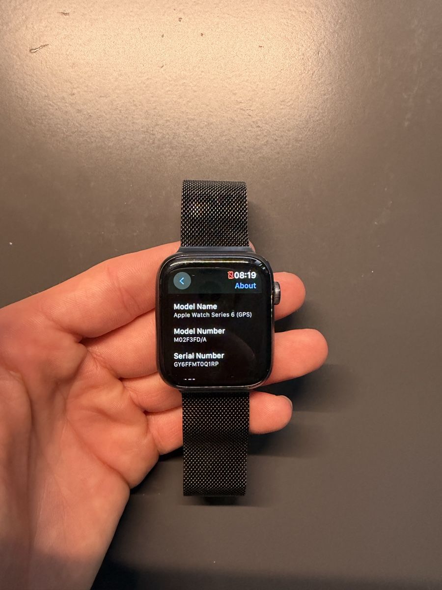 Apple Smartwatch: Apple Watch Series 6 – Usato da Alpnach Dorf venduto da ralphlaurin