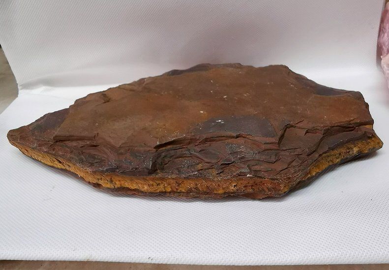 Minerali & Pietre curative: Tigerauge Rohstein – Nuovo (secondo la descrizione) da Walenstadt venduto da vkt_qc8d