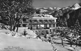 Originale alte Ansichtskarte Hotel Alpina Braunwald 1951