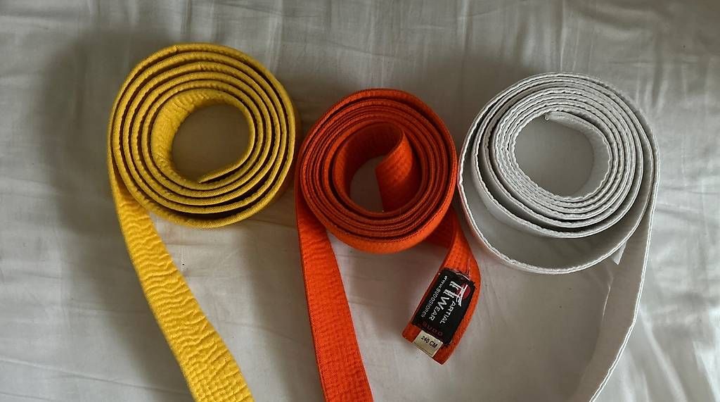 Cinture: Ceintures pour arts martiaux  – Usato da Montreux venduto da dan_g5wm 1