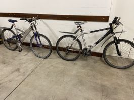2Stk Herrenfahrrad 