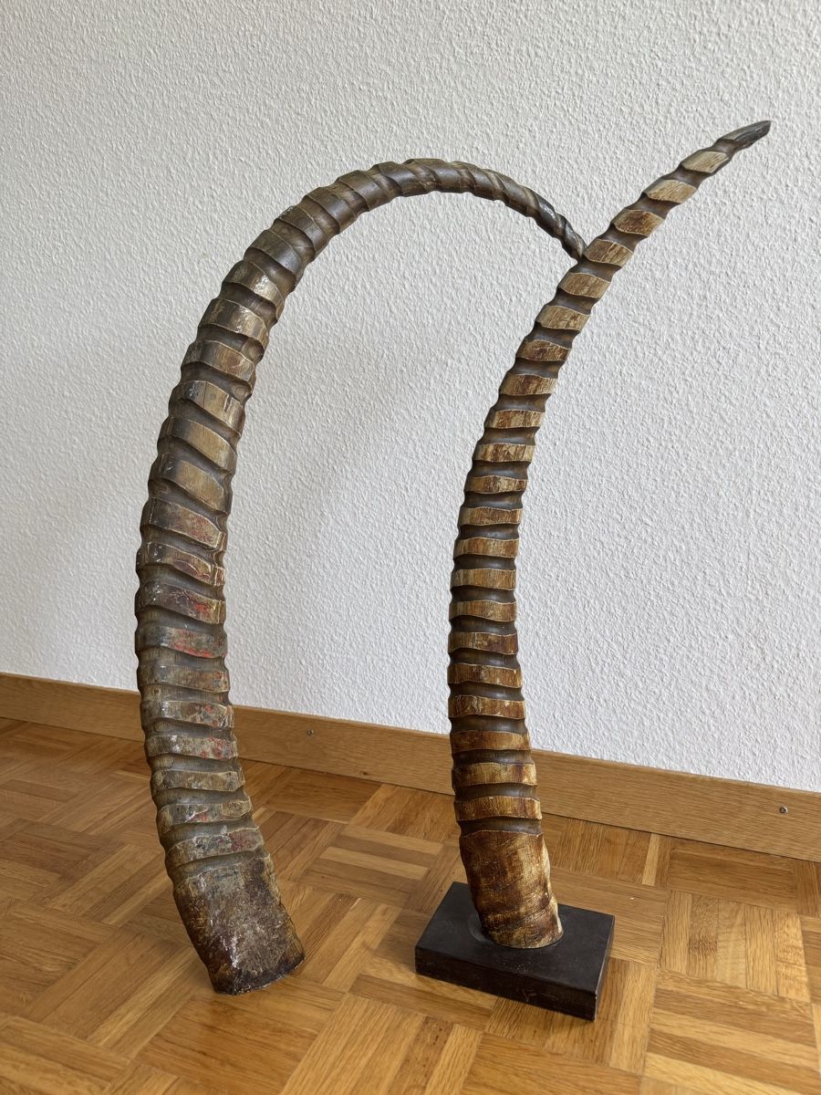 Altre raccolte & rarità: Hörner 2 Stück – Usato da Horgen venduto da BonnieBerlin