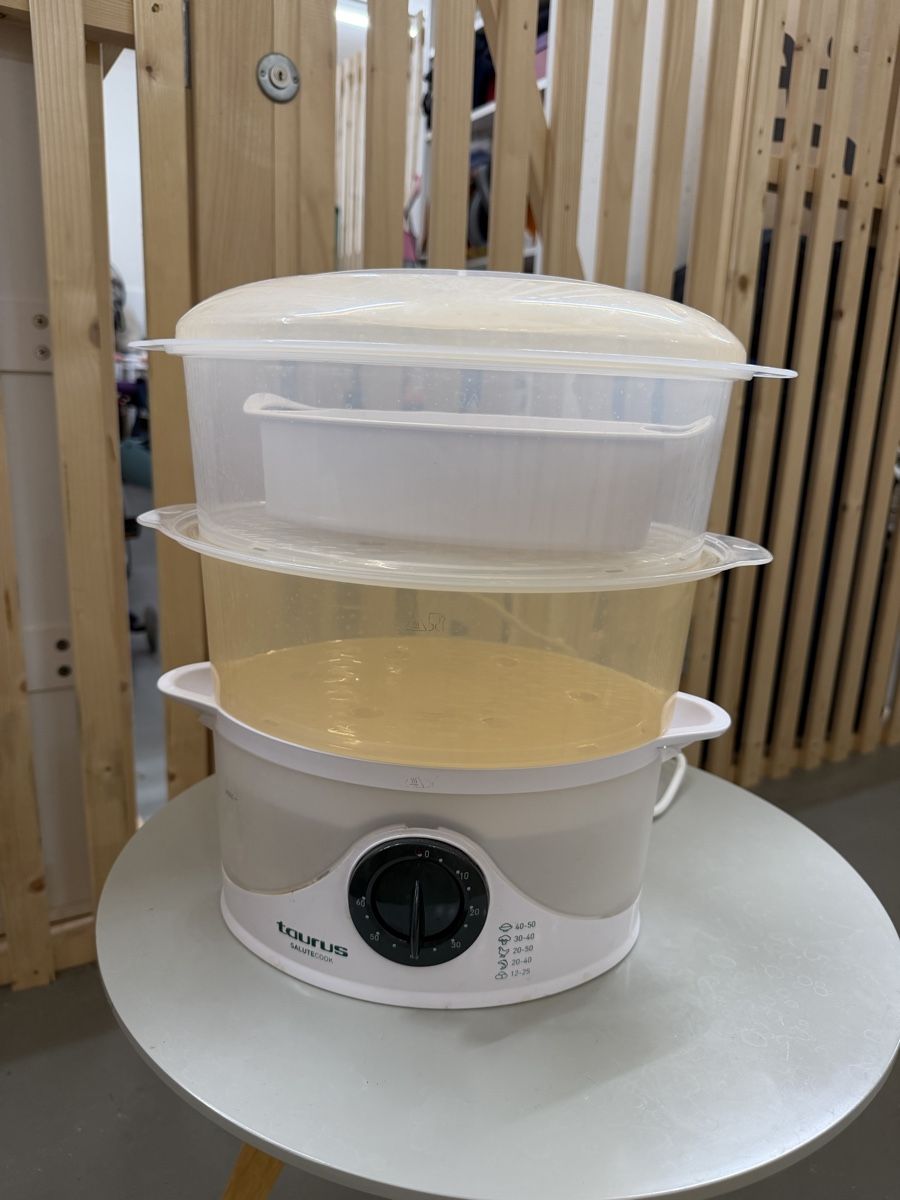 Taurus Elettrodomestici da cucina: Taurus SaluteCook Dampfgarer, 2 Etagen, 6L – Usato da Basel venduto da rqmon
