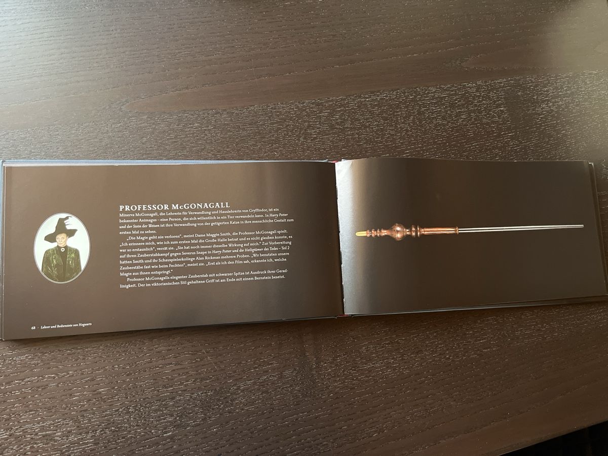 Bücher: Harry Potter Buch Zauberstäbe – Neu (gemäss Beschreibung) aus Einsiedeln von sandramon 2