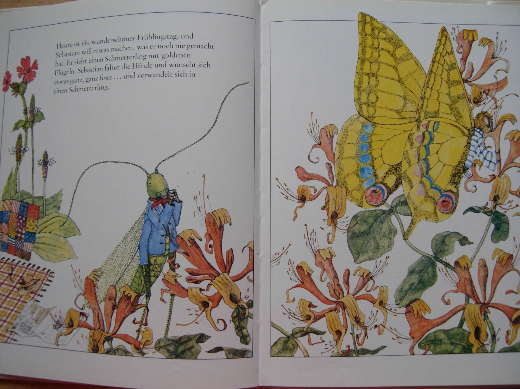 Libri: Sebastian Grashüpfer - Bilderbuch – Usato da Dübendorf venduto da rumpumpel 7