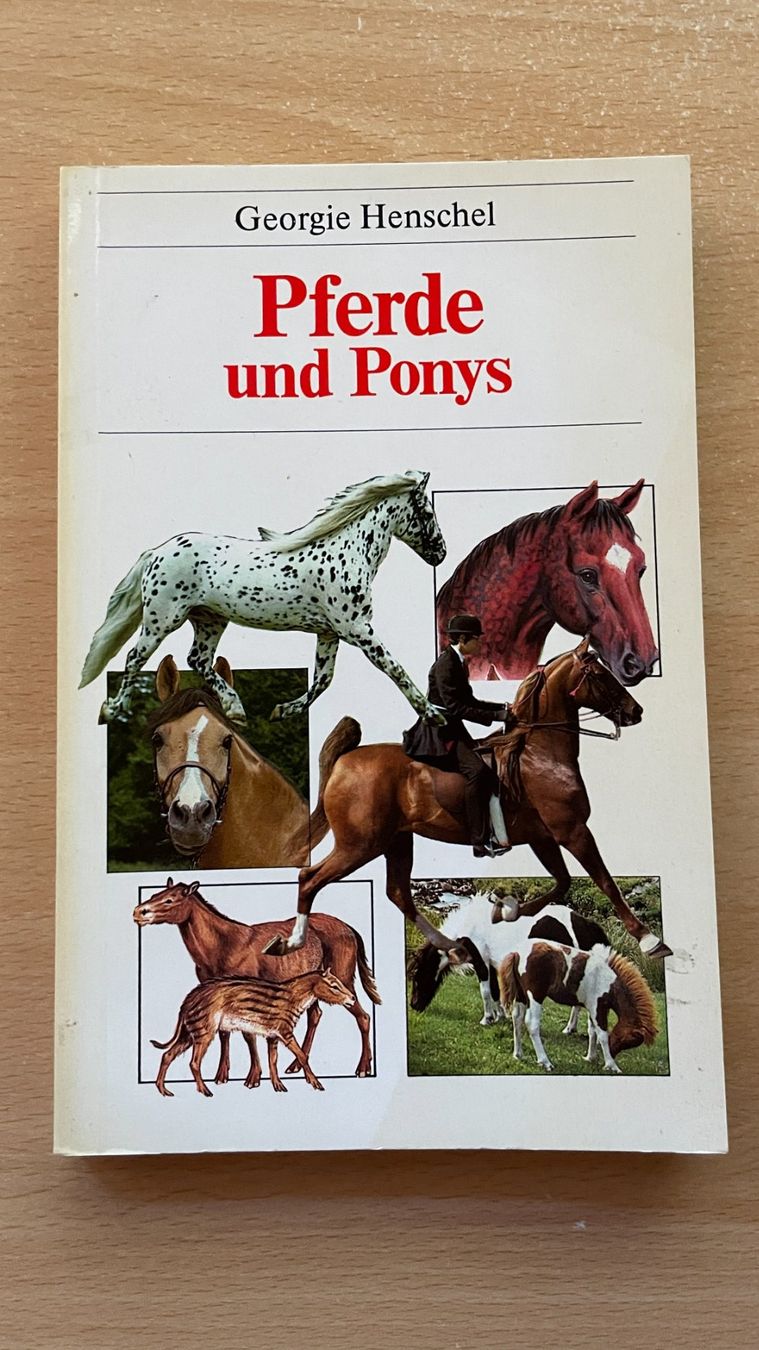 Libri: Pferde und Ponys – Usato da Glattfelden venduto da markweb