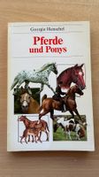 Pferde und Ponys