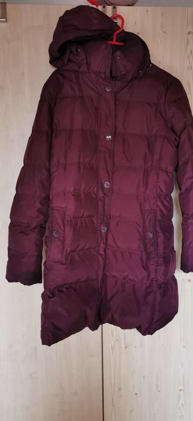Giacche: Tommy Hilfiger Jacke Gr. L – Usato da Oberkulm venduto da Preneur