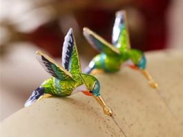 Ohrringe Kolibri