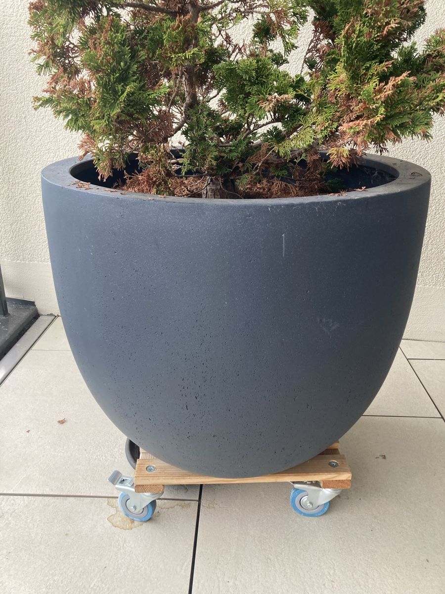 Vasi per fiori: Blumentopf Jaco – Usato da Hildisrieden venduto da herzweg