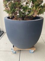 Blumentopf Jaco