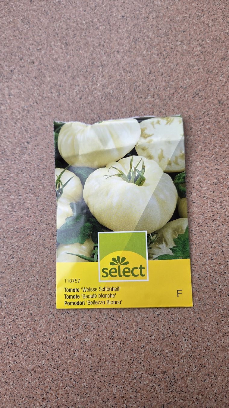 Piante & sementi: Tomaten Setzling  – Usato da Oberwil (Dägerlen) venduto da Green_lady 1