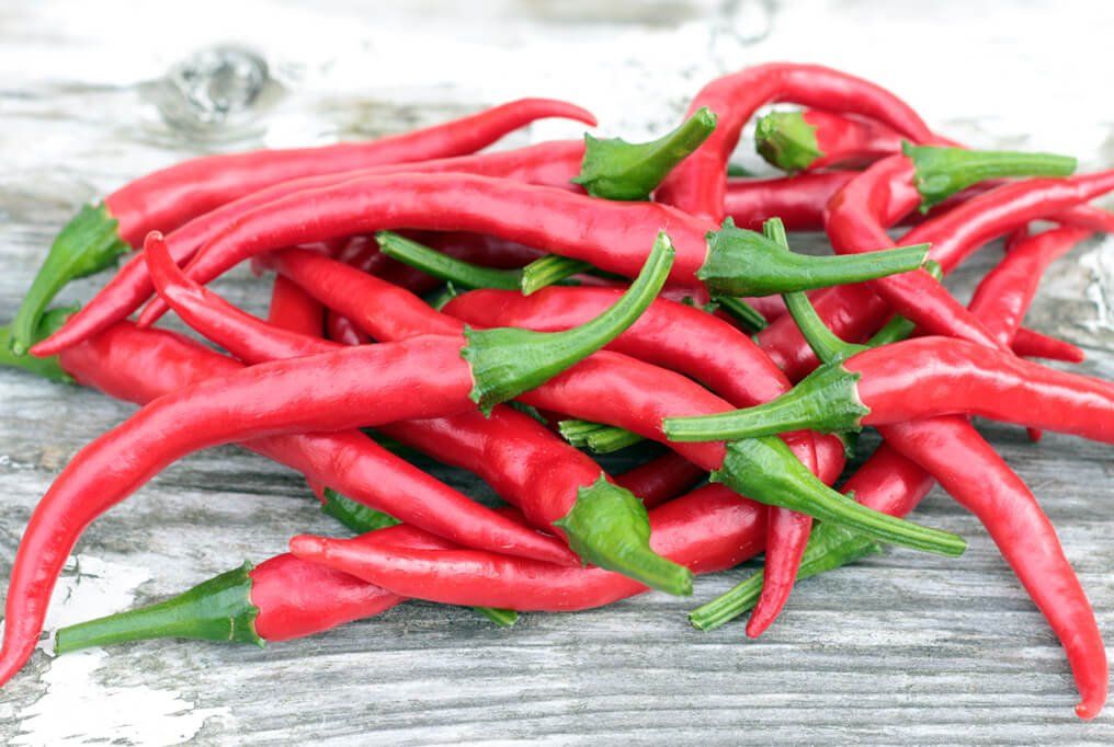 Piante & sementi: 'Long Slim Cayenne' - Pflanze! – Nuovo (secondo la descrizione) da Steffisburg venduto da Petroselium