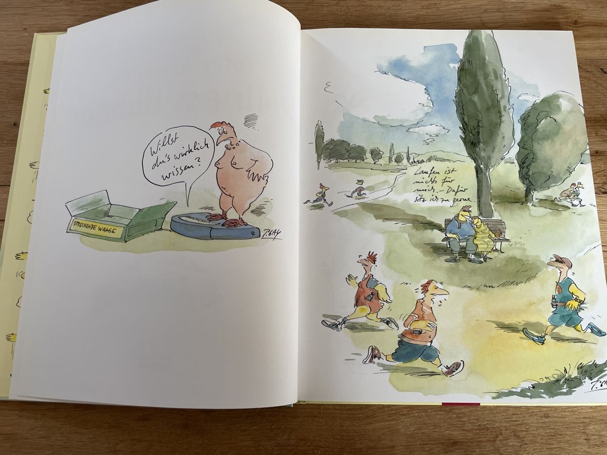Fumetti: Peter Gaymann - Wellness-Hühner Buch – Usato da Winterthur venduto da cheerio97 3
