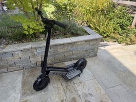 Elektro Trottinet / E Scooter / Pure Escape plus