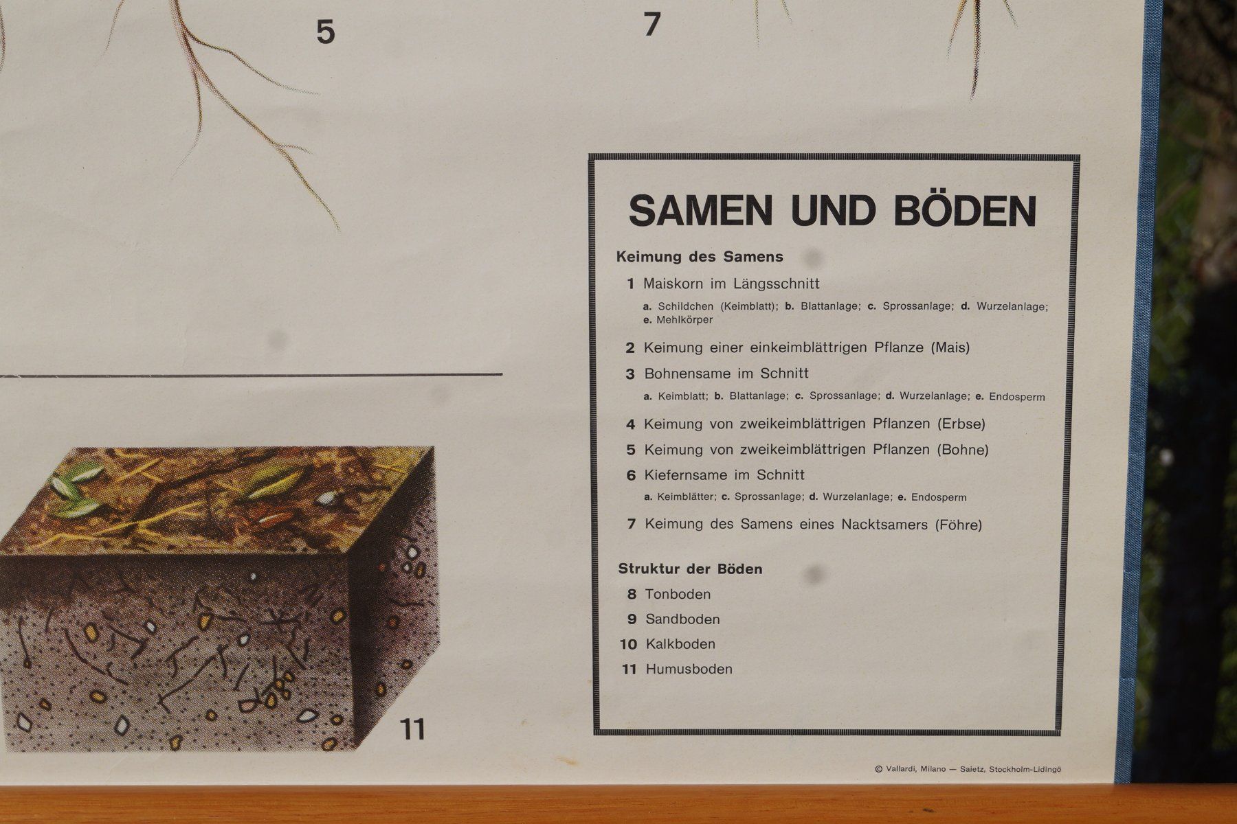 Foto & Immagini: Schulwandbild "Samen und Böden" #f4 – Usato da Härkingen venduto da sammelbecken 2