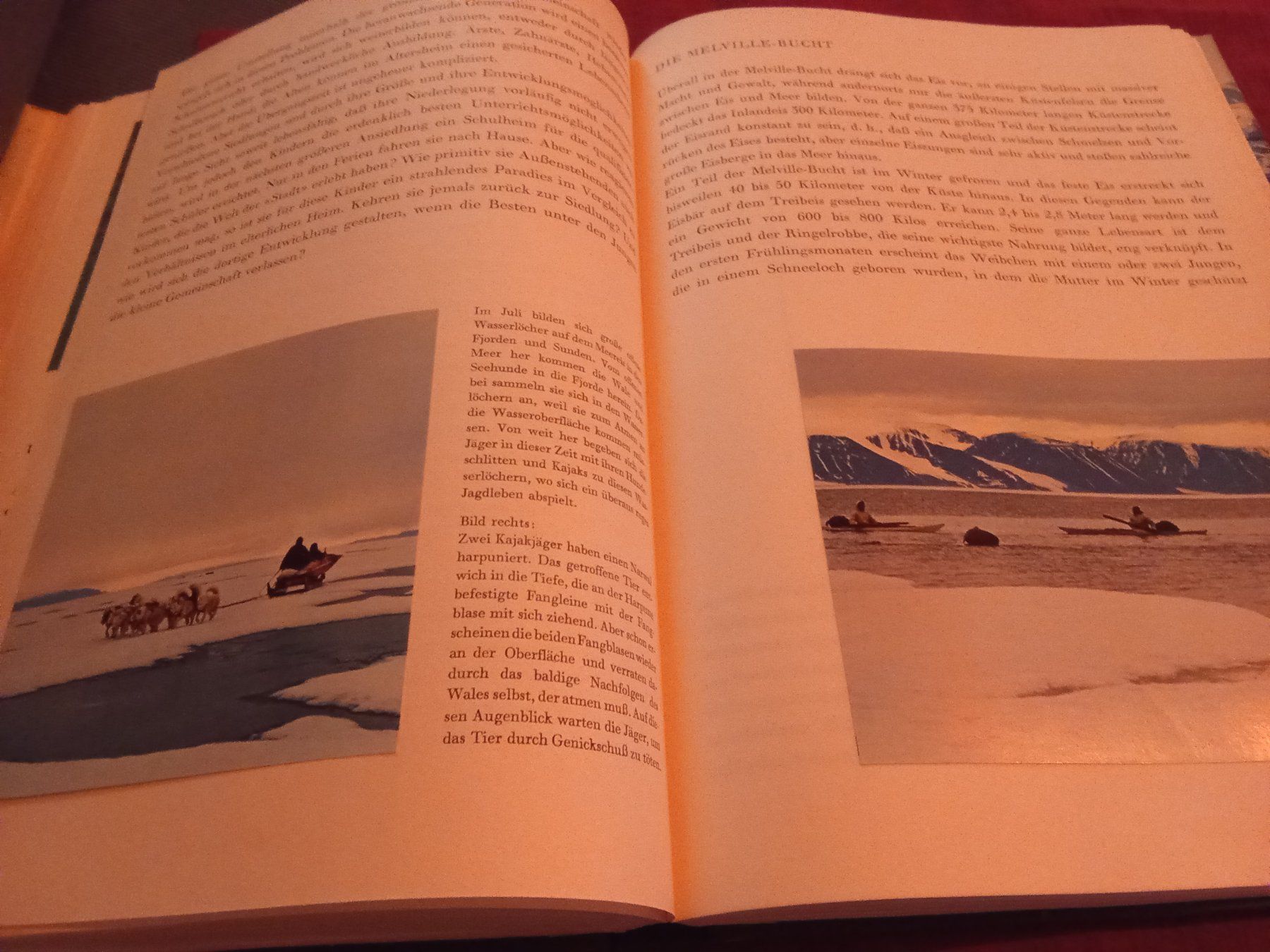 Bücher: Grönland (Silva Verlag 1967) – Gebraucht aus Remetschwil von Privatflohmi 7