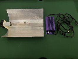 NDL Natriumdampflampe 400Watt