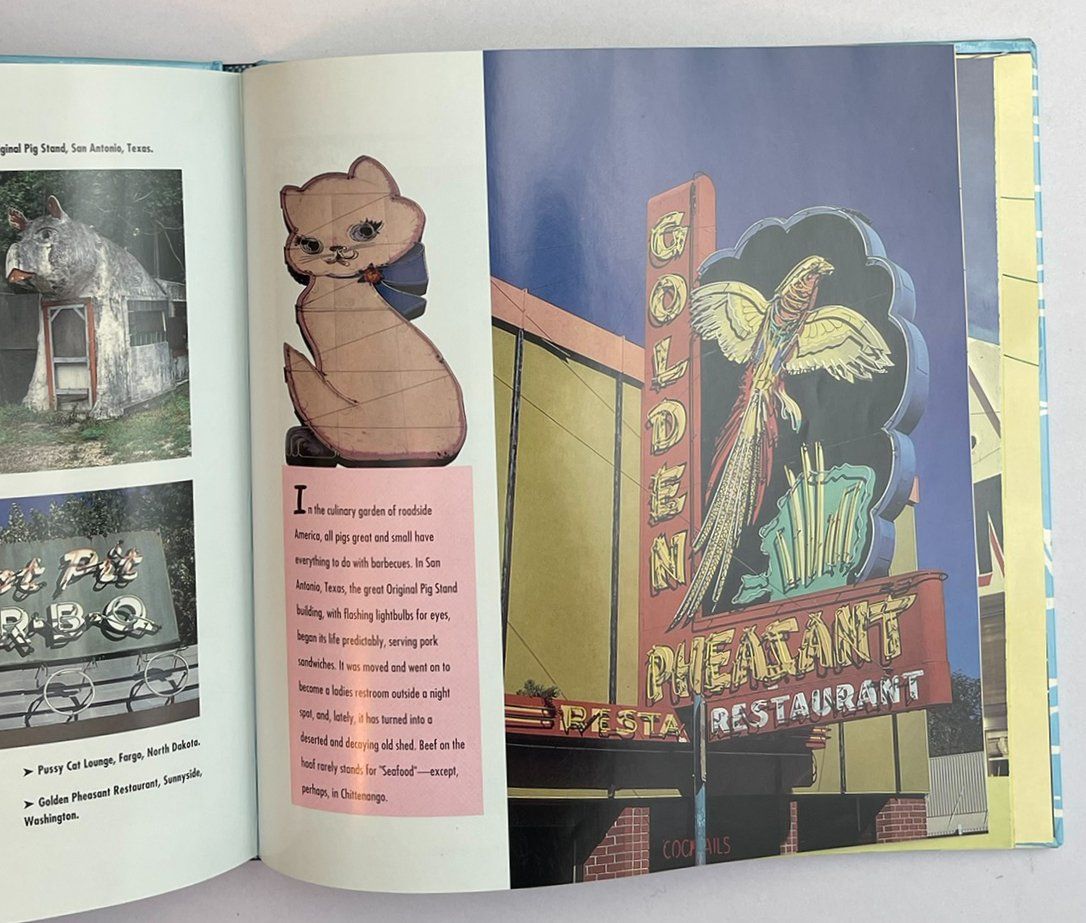 Libri: BUCH: SIGNS OF OUR TIME – Usato da Frenkendorf venduto da Yard-Sale-2000 7