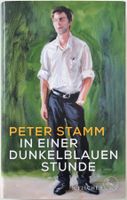 In einer dunkelblauen Stunde – Peter Stamm – Roman – Top