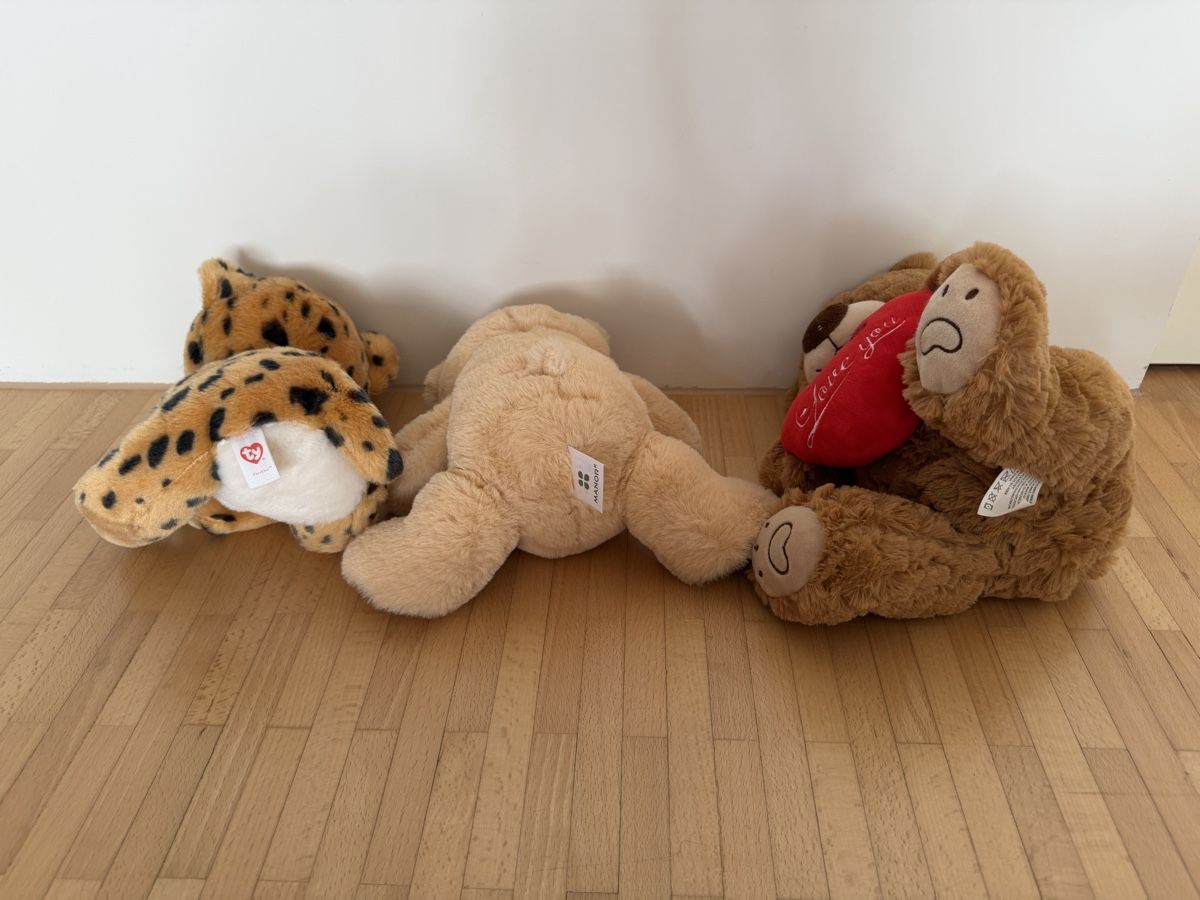 Jouets: Plüschtiere  – Neuf (Voir description) à Untersiggenthal par laraw 1