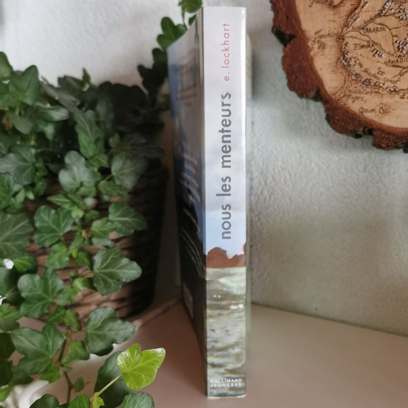 Libri: Nous les Menteurs - E. Lockhart – Usato da Veytaux venduto da lelivreouvert 1