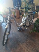 Flyer E-Bike