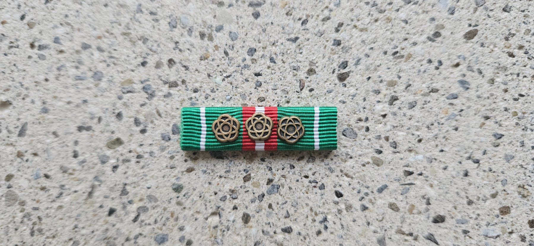 Schweizer Armee Placchette & Badge: *** Innland Ribbon *** – Usato da Riedholz venduto da fr_sIruP