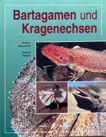 Bartgamen und Kragenechsen